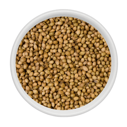 Coriander - Whole coriander seeds - Nakshatra Agro Products