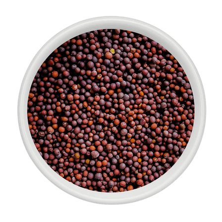 Mustard - Whole mustard seeds - Nakshatra Agro Products
